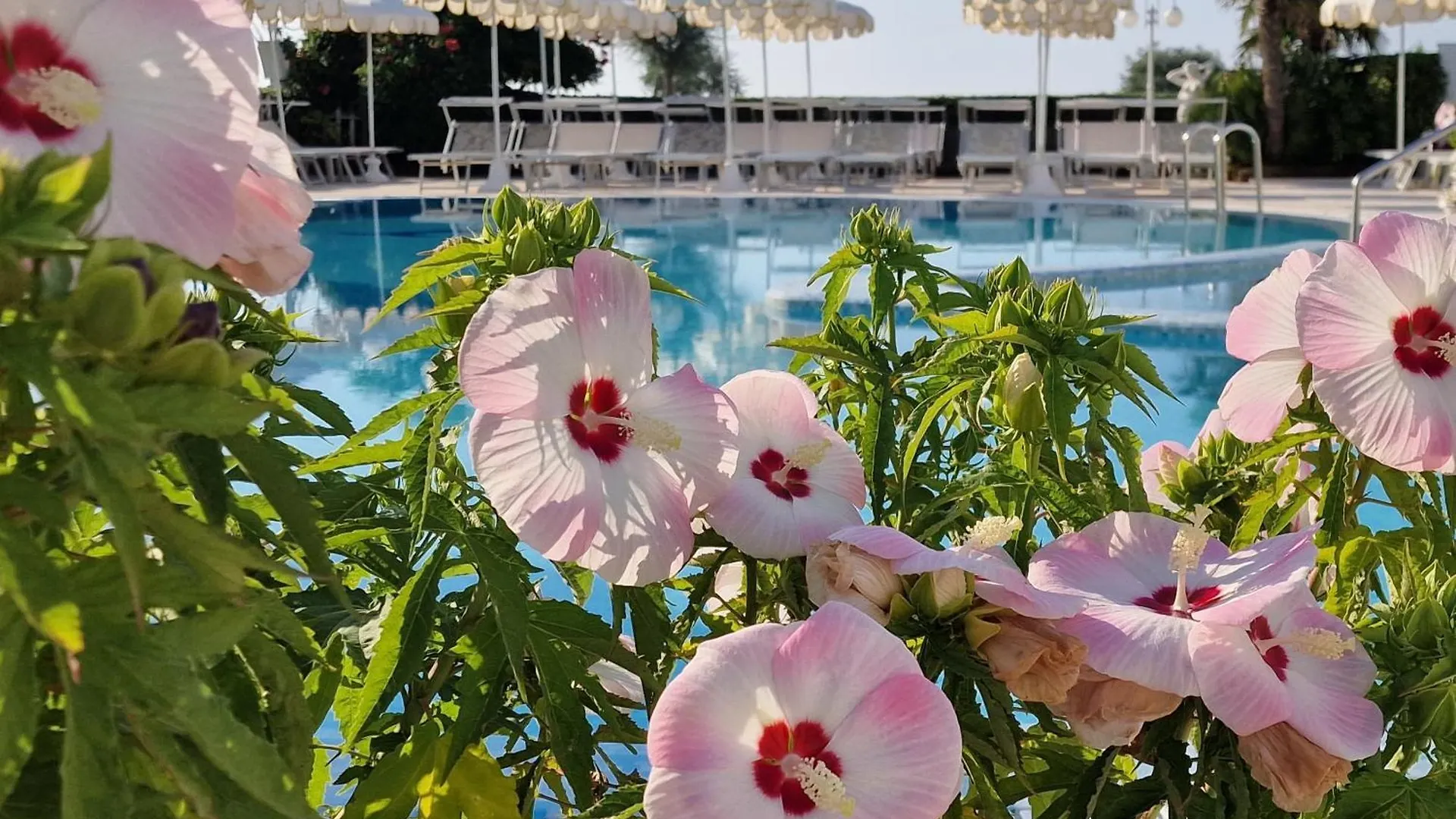 Hotel Alexander Caorle